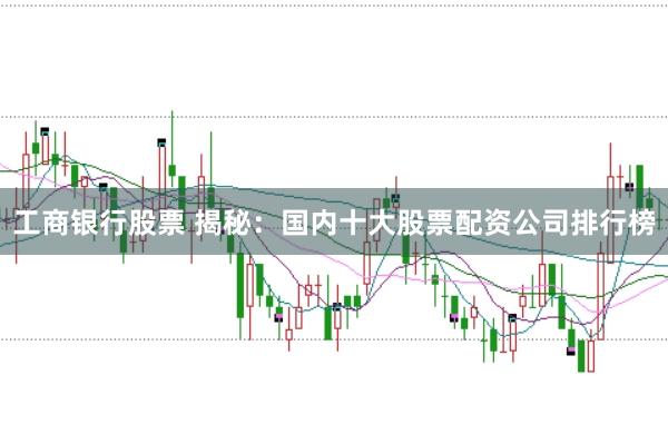 工商银行股票 揭秘：国内十大股票配资公司排行榜