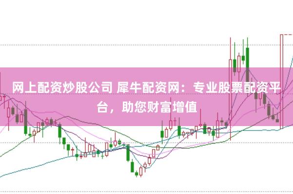 网上配资炒股公司 犀牛配资网：专业股票配资平台，助您财富增值