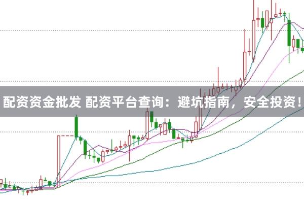 配资资金批发 配资平台查询：避坑指南，安全投资！
