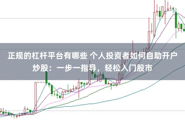 正规的杠杆平台有哪些 个人投资者如何自助开户炒股：一步一指导，轻松入门股市