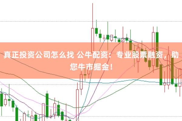 真正投资公司怎么找 公牛配资：专业股票融资，助您牛市掘金！