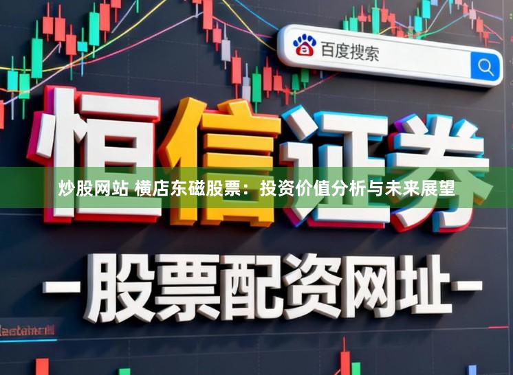 炒股网站 横店东磁股票：投资价值分析与未来展望